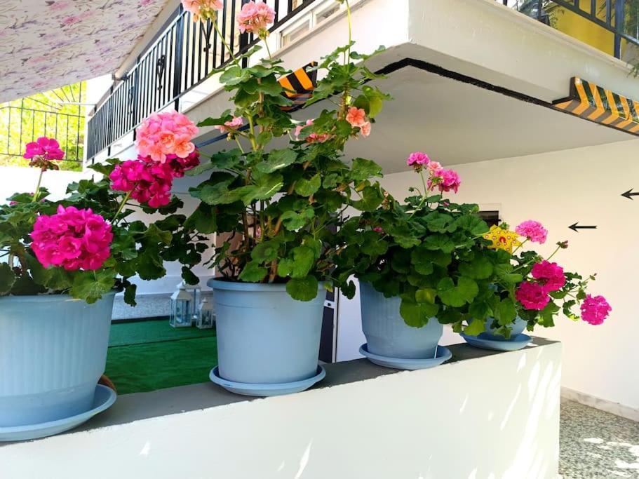Sofia'S Home 9Min. Athens Airport Artemida  Bagian luar foto
